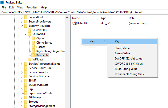 Image of a registry editor showing the TLS 1.0 key